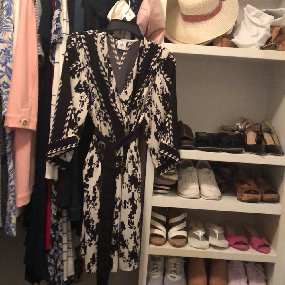 Cabi spring 2023 X factor dress never worn
